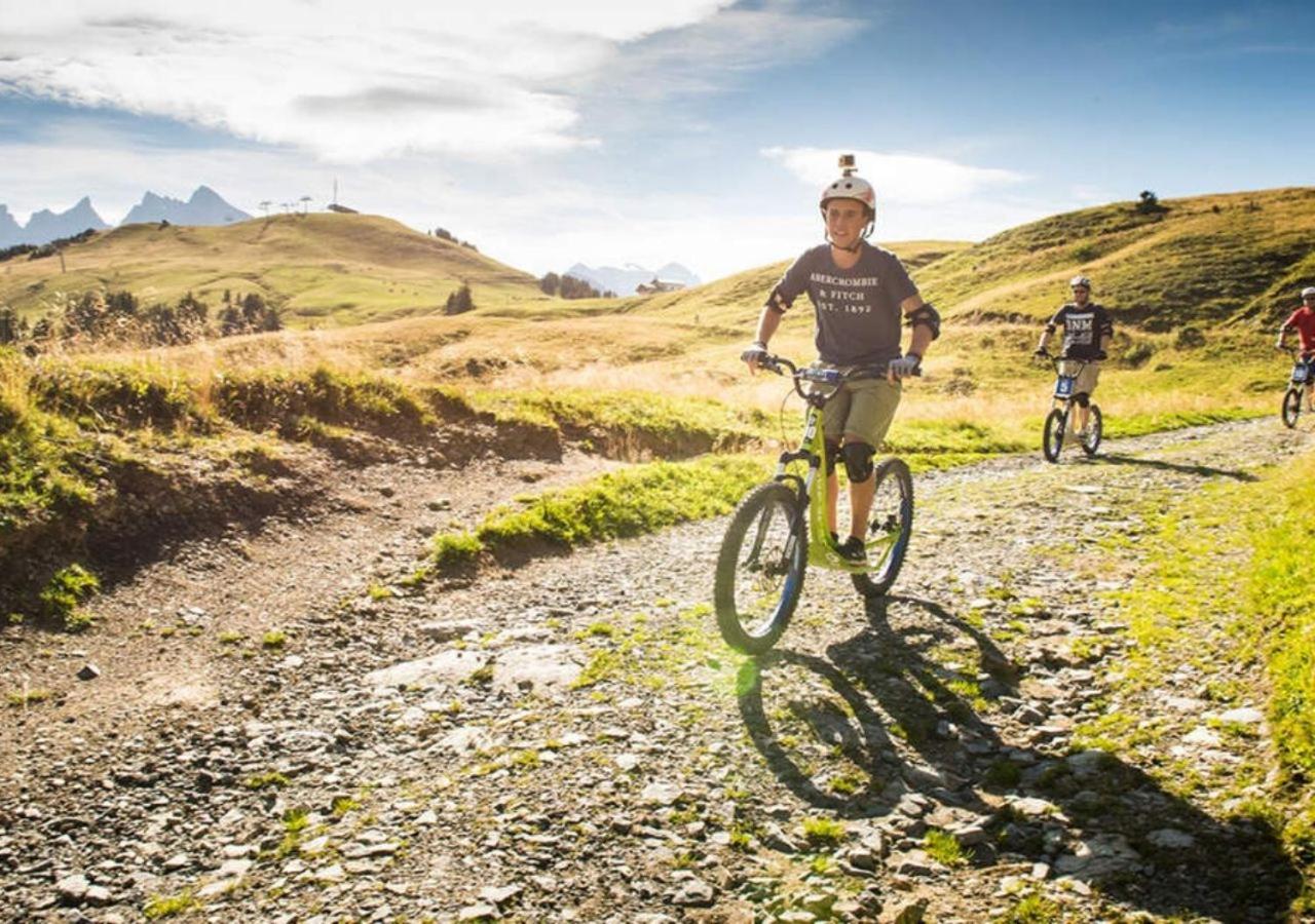 Hotel Des Portes Du Soleil Les Crosets ภายนอก รูปภาพ